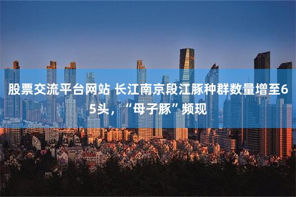 股票交流平台网站 长江南京段江豚种群数量增至65头，“母子豚”频现