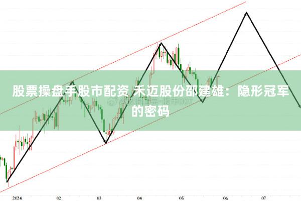 股票操盘手股市配资 禾迈股份邵建雄：隐形冠军的密码