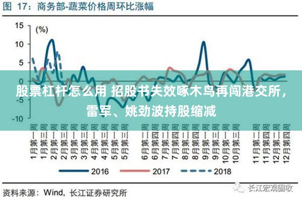 股票杠杆怎么用 招股书失效啄木鸟再闯港交所，雷军、姚劲波持股缩减