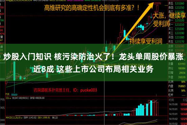 炒股入门知识 核污染防治火了！龙头单周股价暴涨近8成 这些上市公司布局相关业务