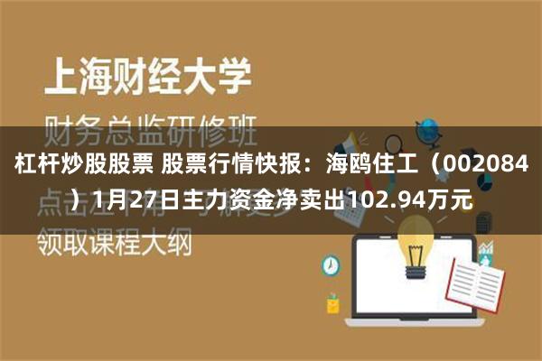 杠杆炒股股票 股票行情快报：海鸥住工（002084）1月27日主力资金净卖出102.94万元