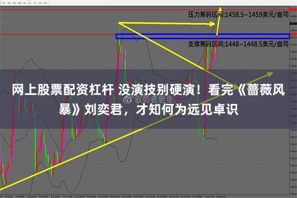 网上股票配资杠杆 没演技别硬演！看完《蔷薇风暴》刘奕君，才知何为远见卓识